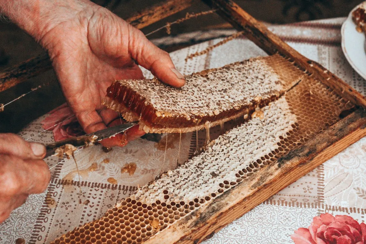 How to Harvest Honey Without Damaging Your Colony